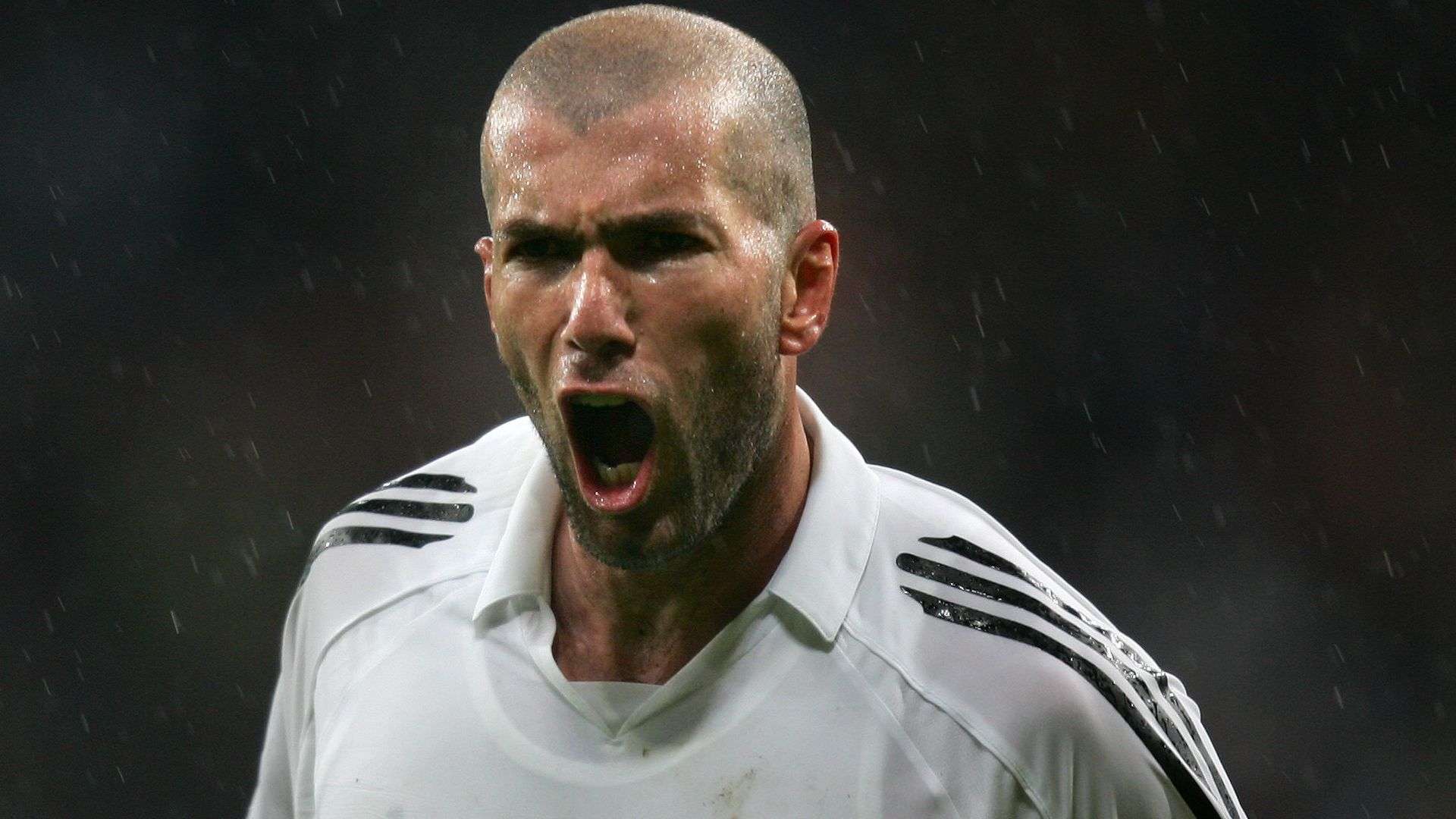 促使冲突的 促使冲突的